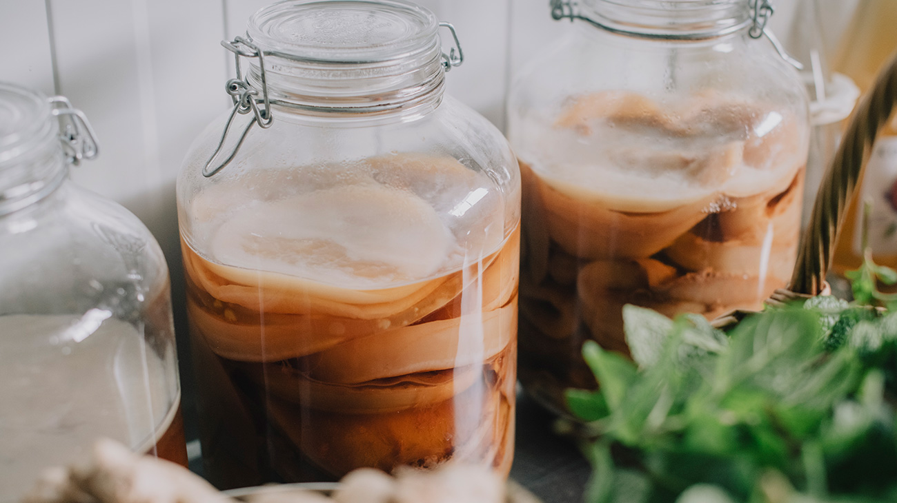 Kombucha maison