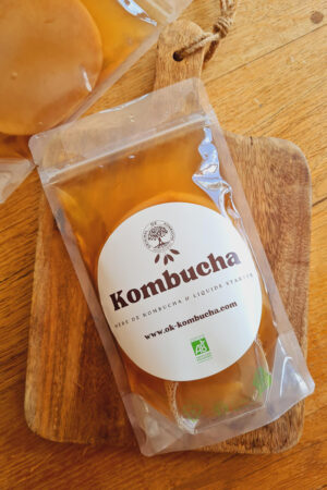 Mère Kombucha