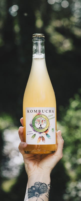 OK Kombucha citron