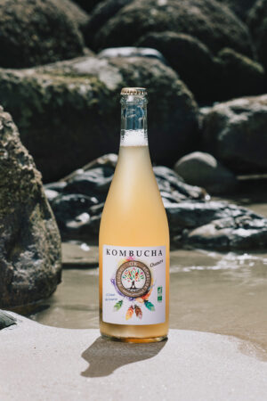 OK Kombucha chanvre 75 cl