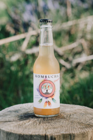 OK Kombucha gingembre 25 cl