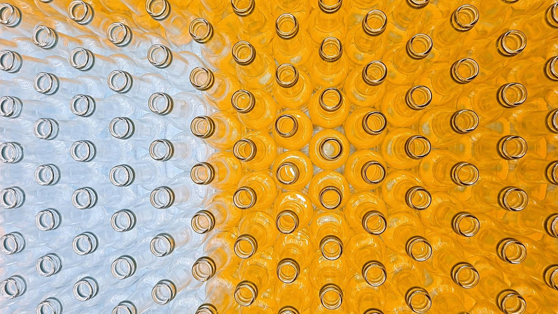 OK Kombucha bouteilles