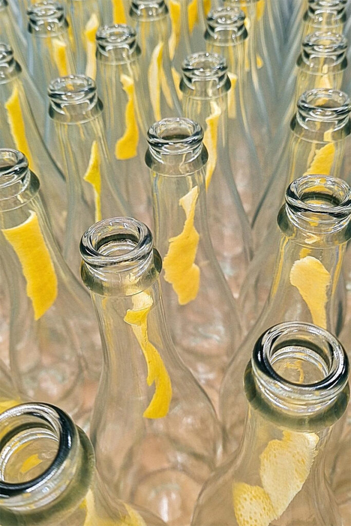 Zeste citron OK Kombucha