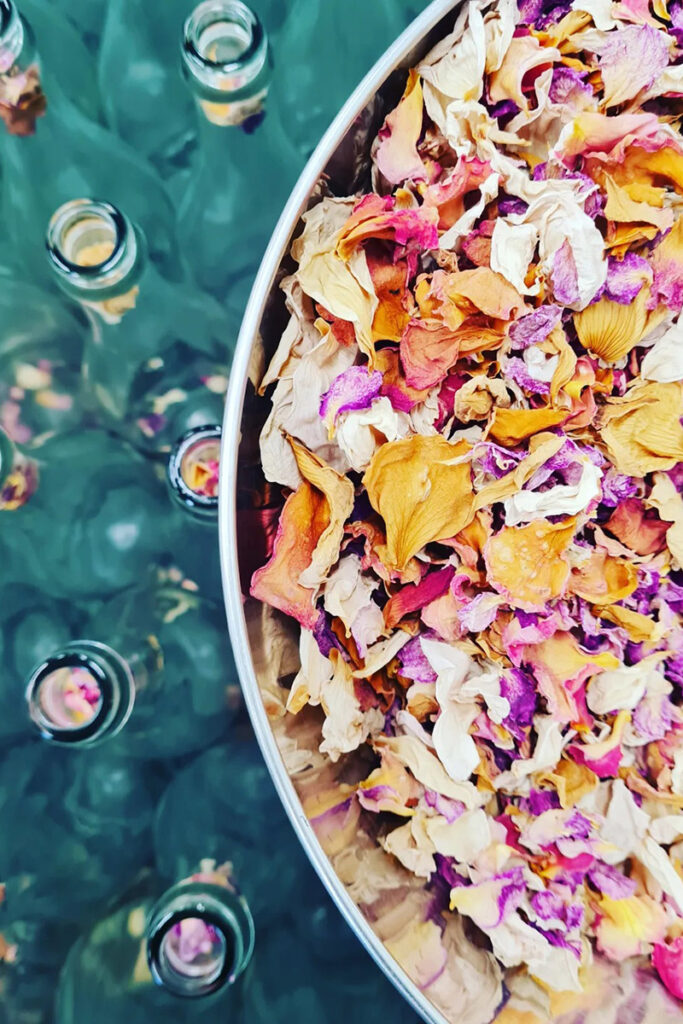 Pétales de roses OK Kombucha