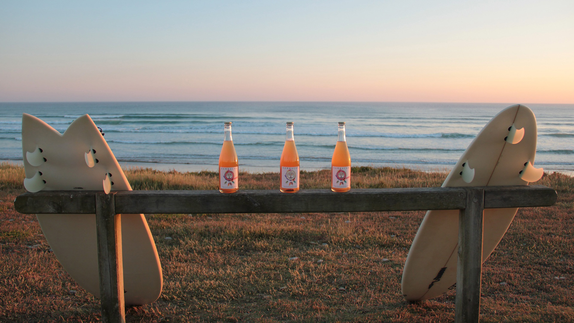 Surf OK Kombucha
